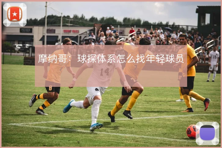 摩纳哥：球探体系怎么找年轻球员